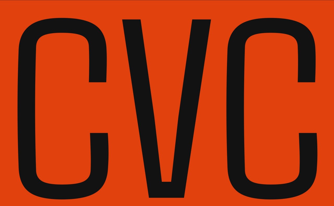 Clear Vision Capacity LLC